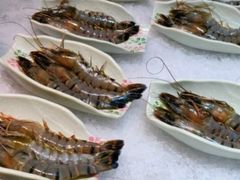 阿根廷红虾-阳光岛·海鲜盛宴(银泰中心in99店)
