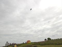 -空港花田景区