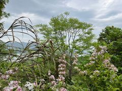 -雅达·阳羡溪山小镇中心