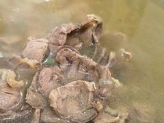 -滁香园·滁州菜(琅琊山店)