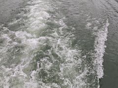 -后柳水乡