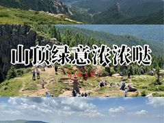 -芦芽山旅游度假区
