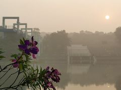 -东莞植物园