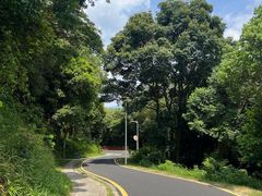 -黄埔油麻山森林公园