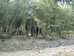 -揭东万竹园旅游景区