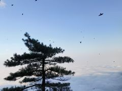 -萍乡武功山风景名胜区