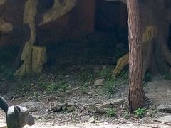 -木兰云雾山