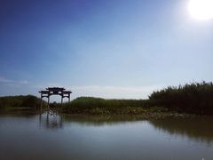-泗洪洪泽湖湿地景区