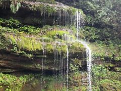 -碧峰峡风景区