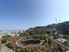 -福道
