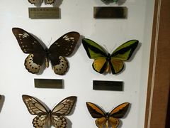 -上海昆虫博物馆