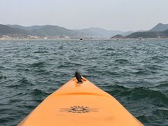 -WhaleSports户外水上运动俱乐部(朝阳公园店)
