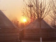 -九十九顶毡房(阜石路店)