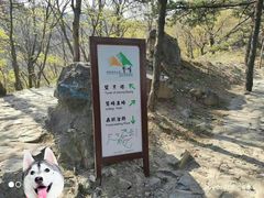 -北京鹫峰国家森林公园
