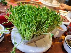 -黄家码头老火锅(解放碑旗舰店)