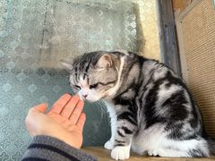 -小时光咖啡馆(开森度假森林店)