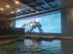 -碧中海汤泉汗蒸酒店