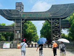 -溱湖国家湿地公园