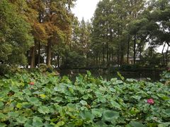 -浙江西子宾馆·瑶园咖啡厅