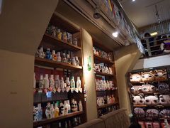 -猫咪博物馆(顶澳仔猫街店)