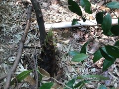 -天目湖御水温泉·度假酒店