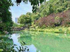 -桃花岭景区