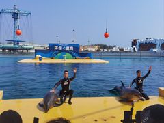 -秦皇岛乐岛海洋王国