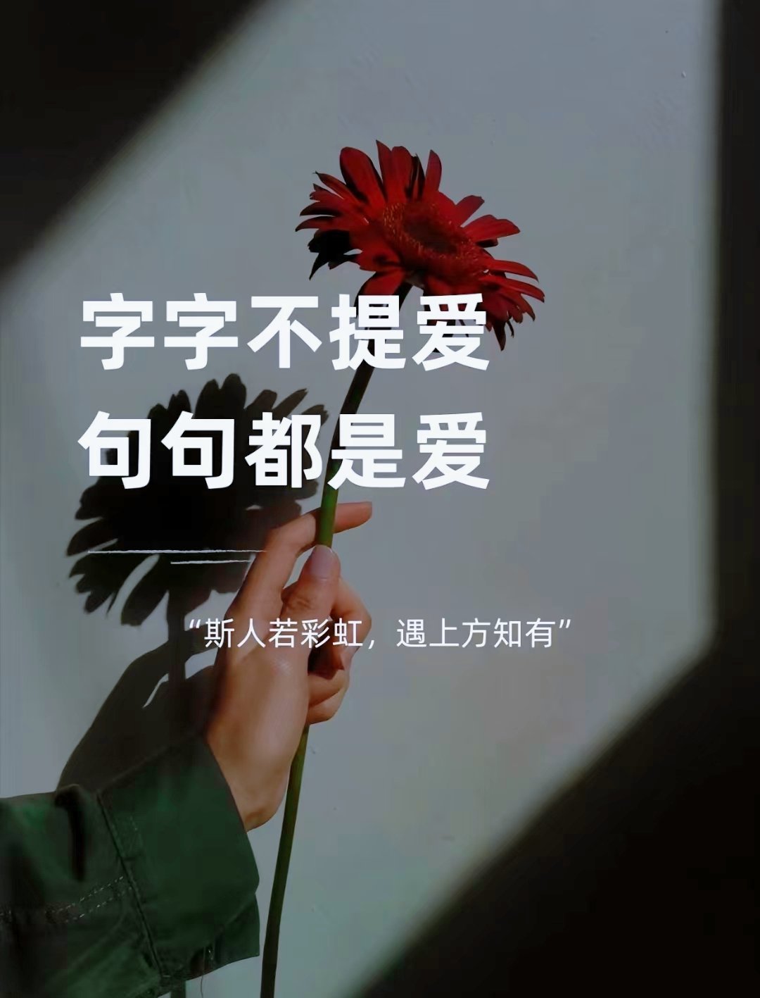 句句不提爱却爱入骨髓图片