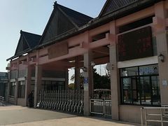 -上海都市菜园