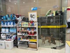 -米苏动物医院·犬猫专科·骨科外科内窥镜