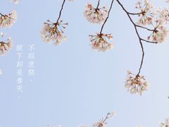 -苏州上方山国家森林公园