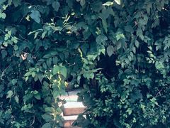 隐蔽的入口-斯多格书乡(北京大学畅春园店)