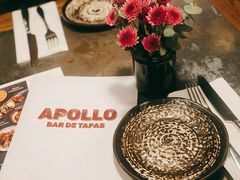 -Apollo·西班牙小酒馆(安福路店)