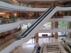 -港丽餐厅(高德置地店)