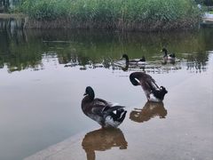 -太阳宫公园