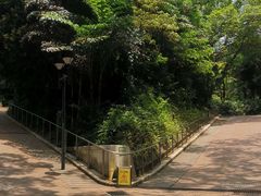 -九龙公园