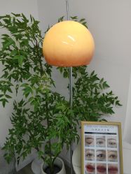 -变美丽半永久纹眉连锁·机器野生眉•洗眉