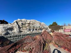 -北京西山国家森林公园