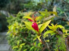 -杭州半山国家森林公园