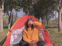 -洨河生态公园