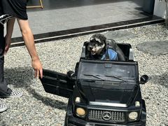 -帕帕拉兹宠物(亚洲旗舰店)