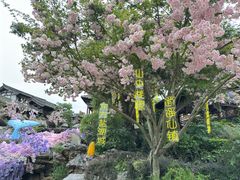 -茅山东方盐湖城景区