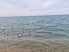 -青海湖二郎剑景区