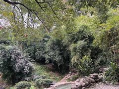 -三江森林温泉度假区