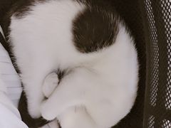 -一品格美术·中考高中成人美术培训