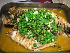 鲜麻藤椒清江鱼-鱼酷活鱼烤鱼(南京水游城店)