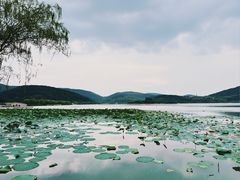 -南北湖风景区