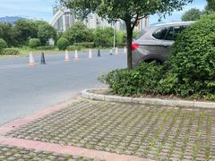 -凤竹园(修水店)