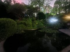 -晓港公园