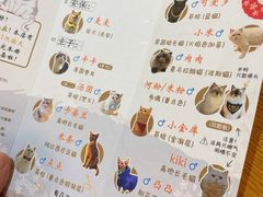 -猫小主咖啡·猫咖cat cafe(福田店)